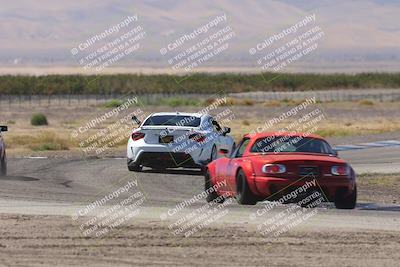 media/Oct-04-2025-OnGrid (Sat) [[44bd565ffa]]/Yellow Group/Grapevine/